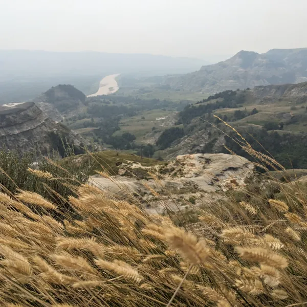 Grassy overlook