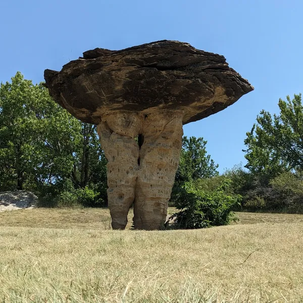 Spindly mushroom rock