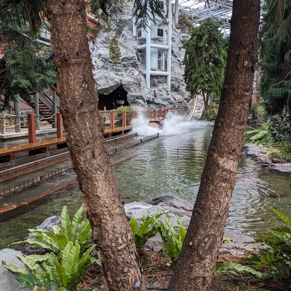 Water log ride