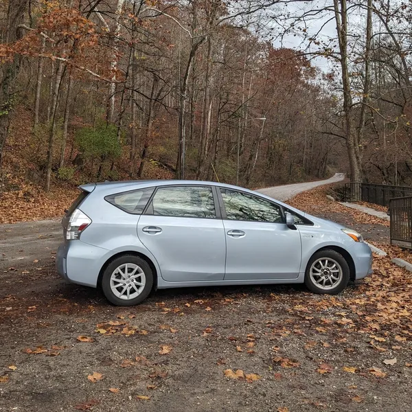 blue prius in the woods