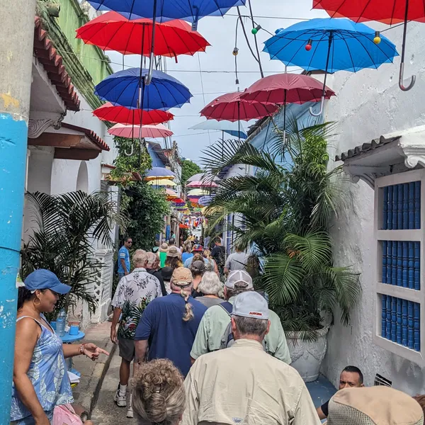 Alley covered by ubmrellas