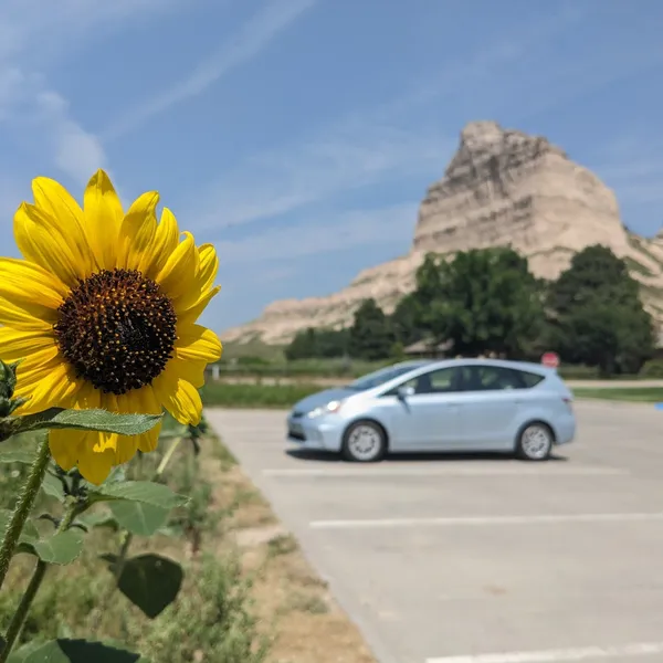 Sunflower and car and bluff.