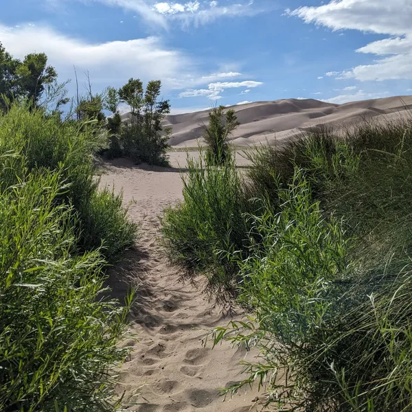 Path through dunes