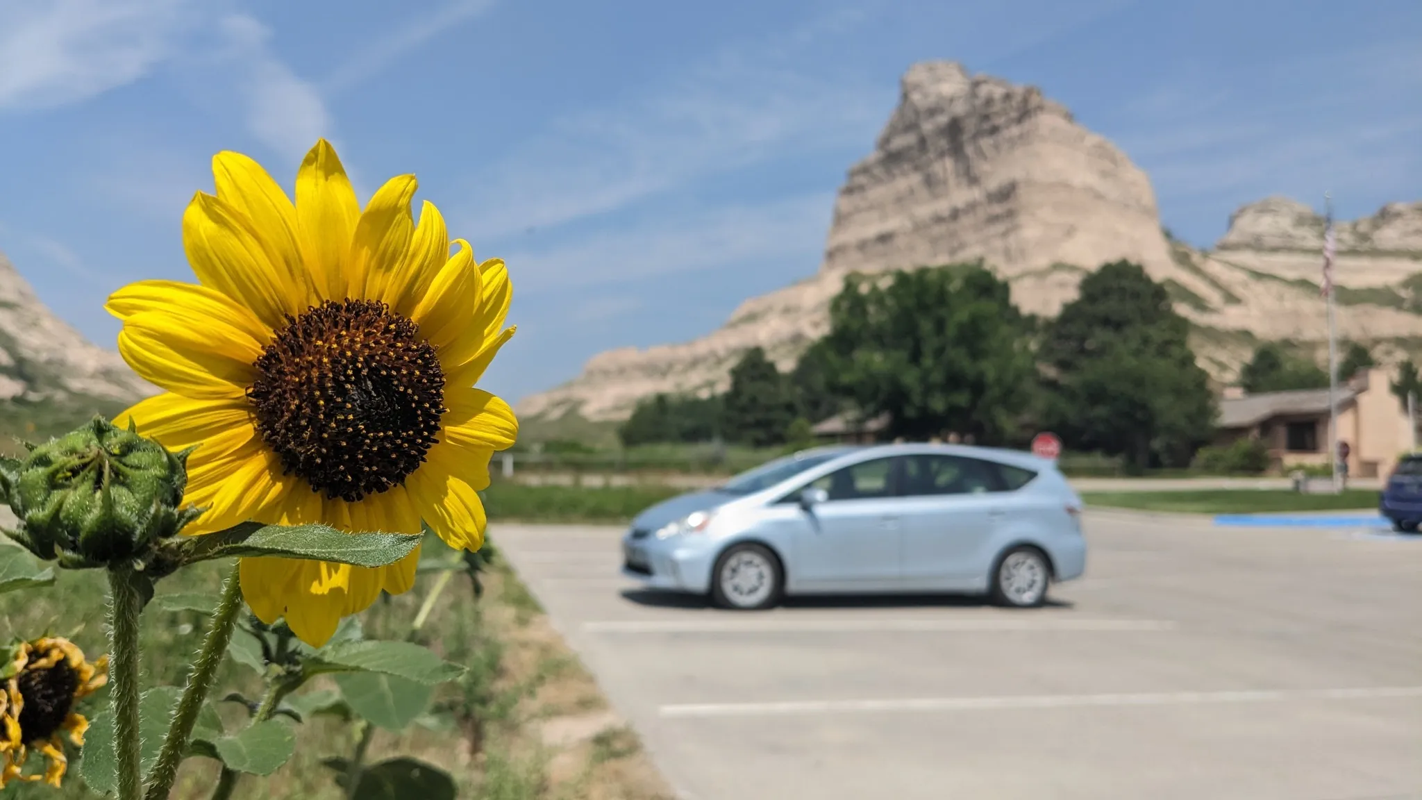 Sunflower and car and bluff.